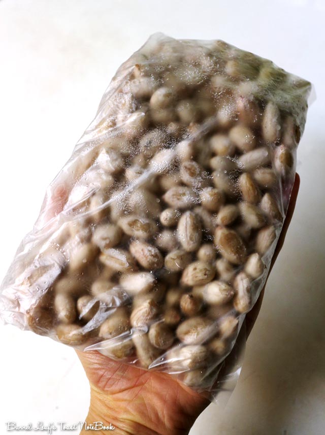 Taiwanese Sweet Peanut Soup (3 ingredients with pressure cooker) 6 自製傳統花生湯 Sweet Peanut Soup width=