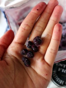 Costco 好市多 Natrue's Touch 冷凍野生藍莓