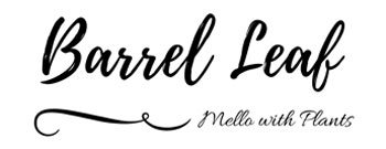 Barrel Leaf 桶子葉的吐司記丨Mellow with Plants