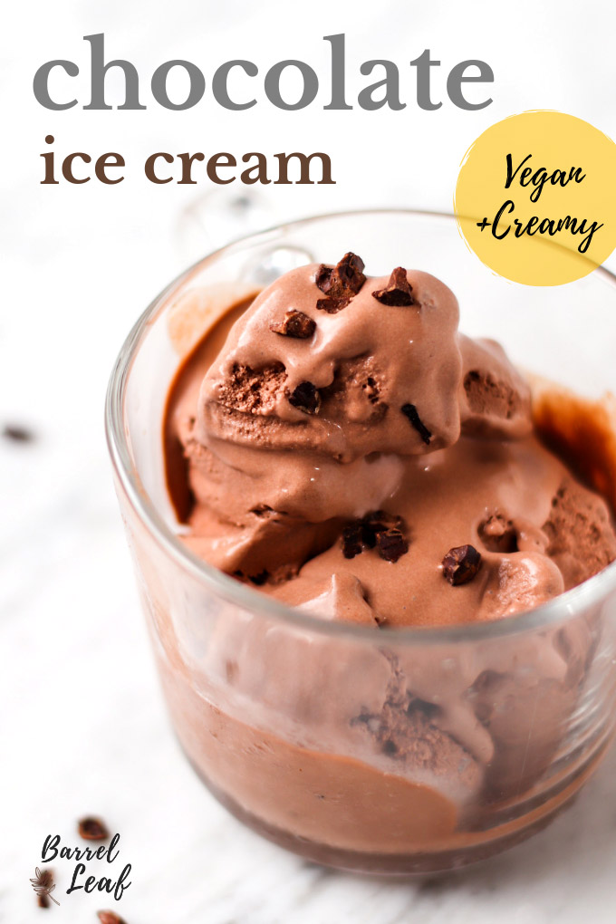 Vegan Chocolate Ice Cream (with 1 Secret Ingredient)