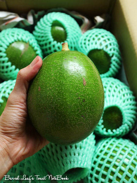 奧丁丁市集 酪梨 owlting-avocado (11)